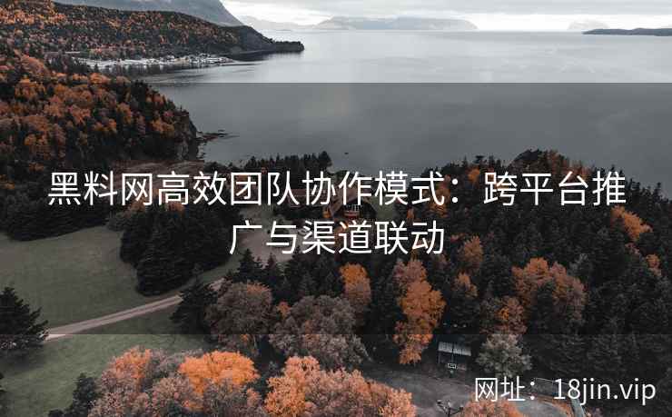 黑料网高效团队协作模式：跨平台推广与渠道联动