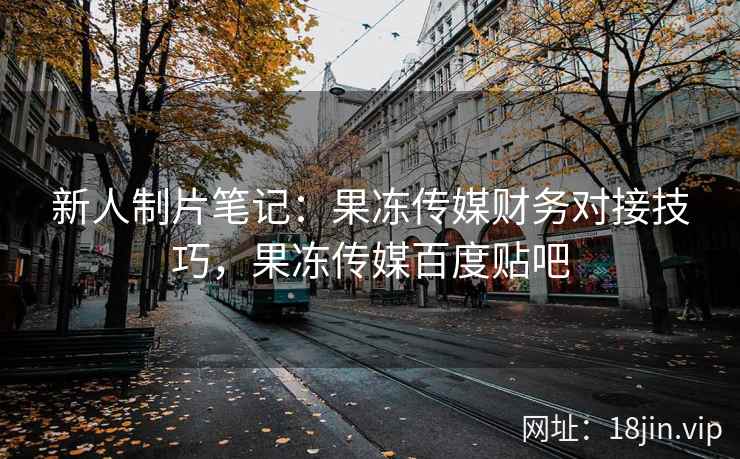 新人制片笔记：果冻传媒财务对接技巧，果冻传媒百度贴吧