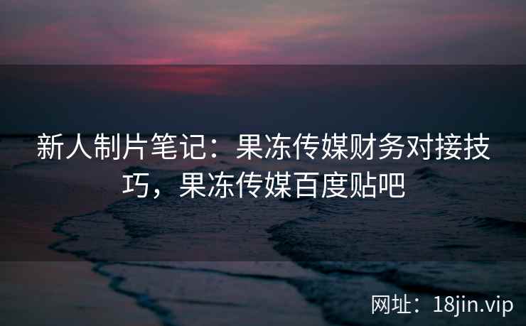 新人制片笔记：果冻传媒财务对接技巧，果冻传媒百度贴吧
