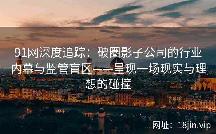 91网深度追踪：破圈影子公司的行业内幕与监管盲区——呈现一场现实与理想的碰撞