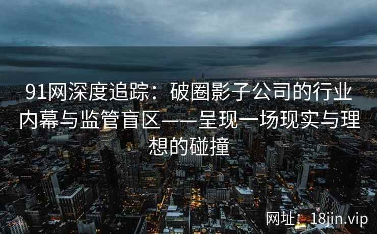 91网深度追踪：破圈影子公司的行业内幕与监管盲区——呈现一场现实与理想的碰撞