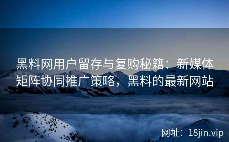 黑料网用户留存与复购秘籍：新媒体矩阵协同推广策略，黑料的最新网站