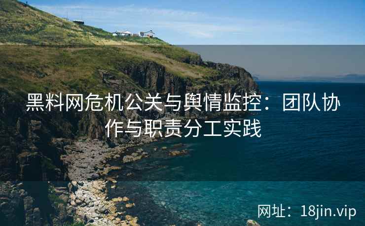 黑料网危机公关与舆情监控：团队协作与职责分工实践