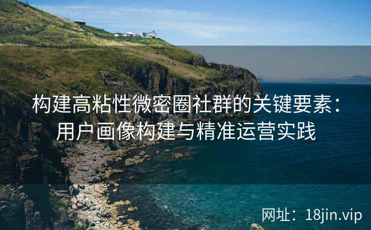 构建高粘性微密圈社群的关键要素：用户画像构建与精准运营实践