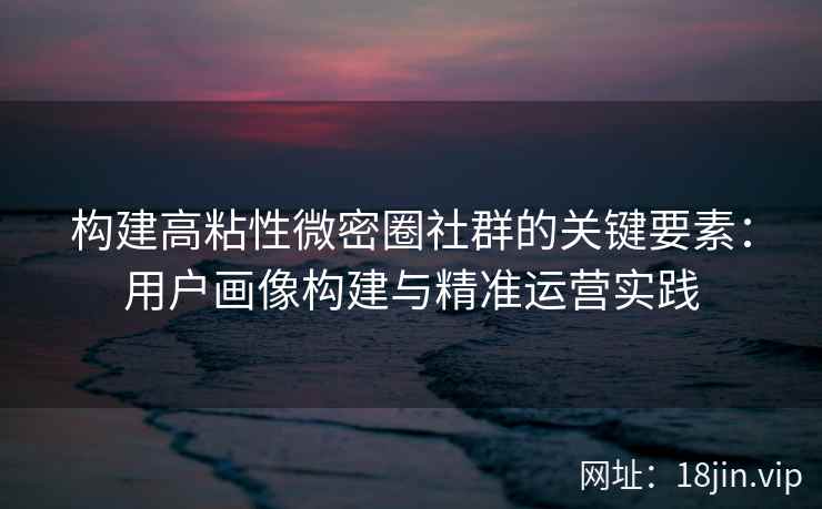 构建高粘性微密圈社群的关键要素：用户画像构建与精准运营实践