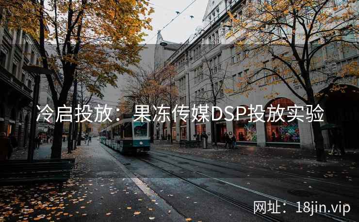 冷启投放：果冻传媒DSP投放实验