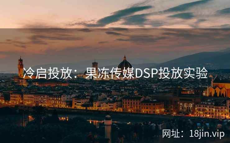 冷启投放：果冻传媒DSP投放实验
