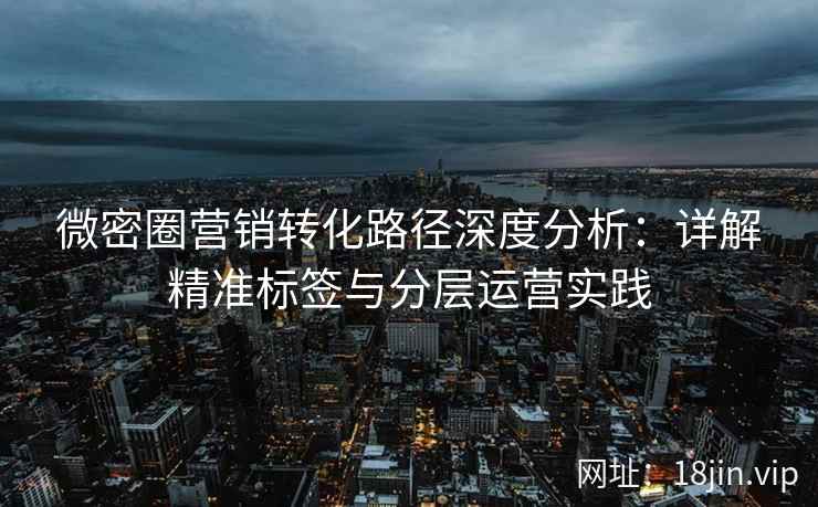 微密圈营销转化路径深度分析：详解精准标签与分层运营实践