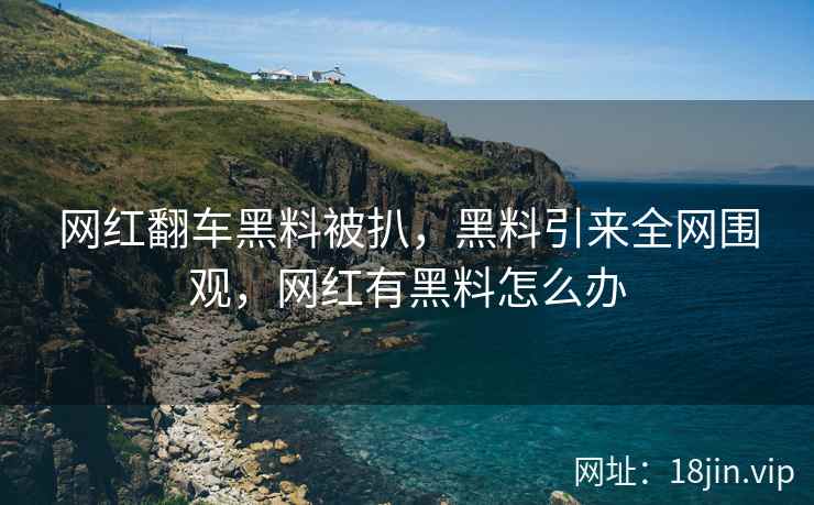 网红翻车黑料被扒，黑料引来全网围观，网红有黑料怎么办