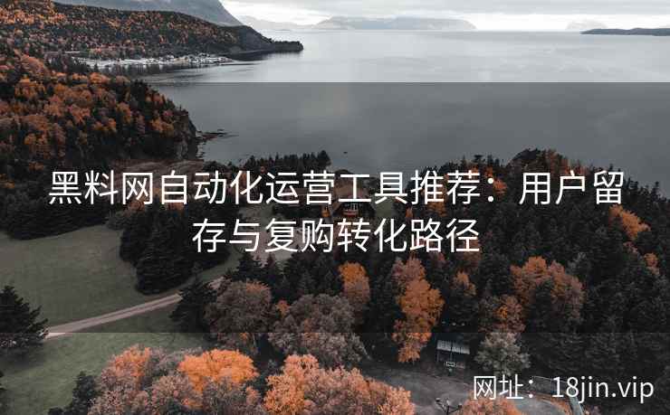 黑料网自动化运营工具推荐：用户留存与复购转化路径