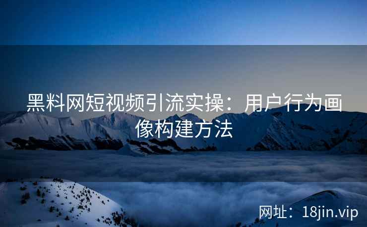 黑料网短视频引流实操：用户行为画像构建方法