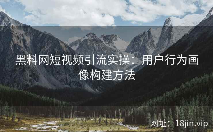 黑料网短视频引流实操：用户行为画像构建方法