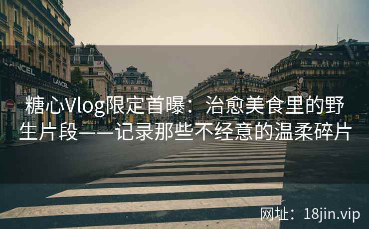 糖心Vlog限定首曝：治愈美食里的野生片段——记录那些不经意的温柔碎片