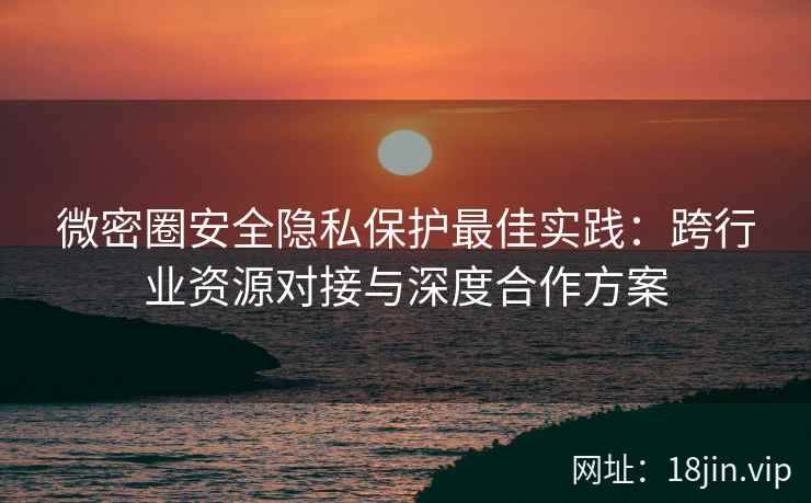 微密圈安全隐私保护最佳实践：跨行业资源对接与深度合作方案